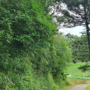 Terreno, no bairro São Giácomo em Caxias do Sul para Comprar