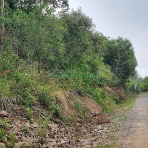 Terreno com 40200m², no bairro São Giácomo em Caxias do Sul para Comprar