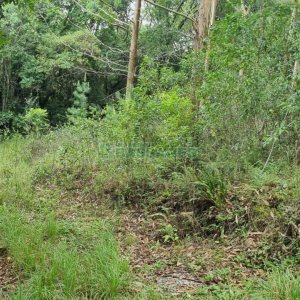 Terreno com 40200m², no bairro São Giácomo em Caxias do Sul para Comprar