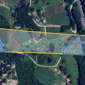 Terreno com 40200m², no bairro São Giácomo em Caxias do Sul para Comprar