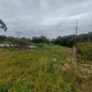 Terreno, no bairro São Giácomo em Caxias do Sul para Comprar