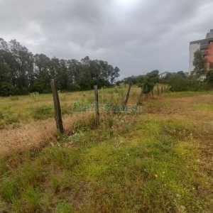 Terreno, no bairro Desvio Rizzo em Caxias do Sul para Comprar