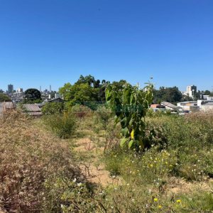 Terreno, no bairro Interlagos em Caxias do Sul para Comprar