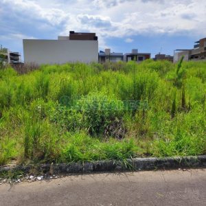 Terreno, no bairro São Virgílio em Caxias do Sul para Comprar