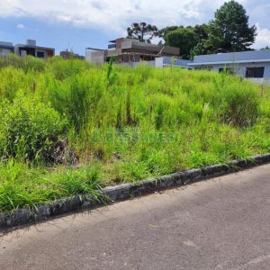Terreno, no bairro São Virgílio em Caxias do Sul para Comprar