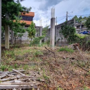 Terreno, no bairro Bela Vista em Caxias do Sul para Comprar
