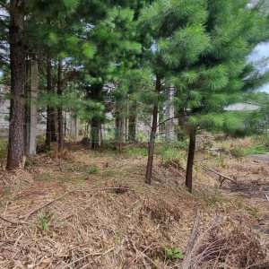 Terreno, no bairro Bela Vista em Caxias do Sul para Comprar