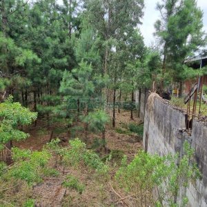 Terreno, no bairro Bela Vista em Caxias do Sul para Comprar
