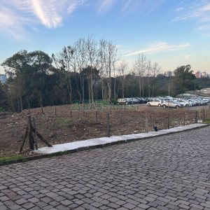 Terreno com 743m², no bairro Salgado Filho em Caxias do Sul para Alugar