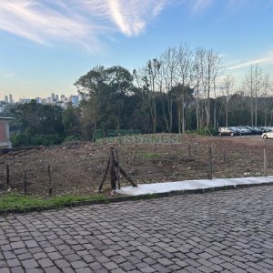 Terreno com 743m², no bairro Salgado Filho em Caxias do Sul para Alugar