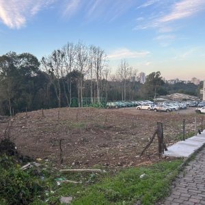 Terreno com 743m², no bairro Salgado Filho em Caxias do Sul para Alugar