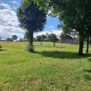 Terreno, no bairro Nossa Senhora do Rosário em Caxias do Sul para Comprar