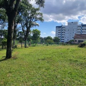 Terreno, no bairro Nossa Senhora do Rosário em Caxias do Sul para Comprar