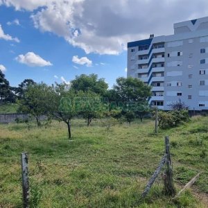Terreno, no bairro Nossa Senhora do Rosário em Caxias do Sul para Comprar