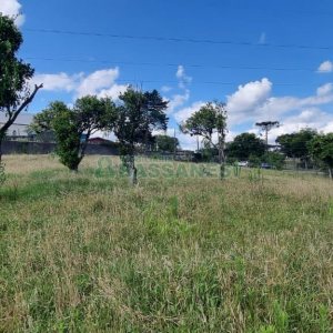 Terreno, no bairro Nossa Senhora do Rosário em Caxias do Sul para Comprar