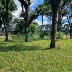 Terreno, no bairro Nossa Senhora do Rosário em Caxias do Sul para Comprar