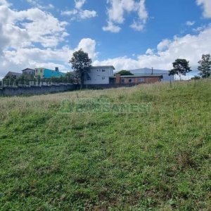 Terreno, no bairro Nossa Senhora do Rosário em Caxias do Sul para Comprar
