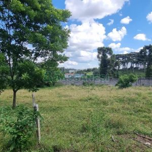 Terreno, no bairro Nossa Senhora do Rosário em Caxias do Sul para Comprar