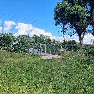 Terreno, no bairro Nossa Senhora do Rosário em Caxias do Sul para Comprar