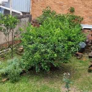 Casa com 130m², 4 dormitórios, 1 vaga, no bairro Jardim Eldorado em Caxias do Sul para Comprar