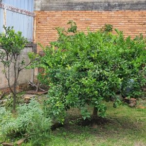 Casa com 130m², 4 dormitórios, 1 vaga, no bairro Jardim Eldorado em Caxias do Sul para Comprar