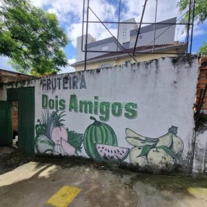 Terreno com 176m², no bairro Cristo Redentor em Caxias do Sul para Comprar