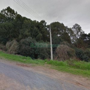 Terreno com 6400m², no bairro Sao Gotardo em Flores da Cunha para Alugar