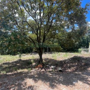 Terreno, no bairro Vinhedos em Caxias do Sul para Comprar