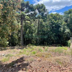 Terreno, no bairro Vinhedos em Caxias do Sul para Comprar