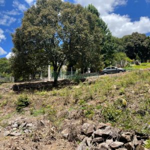 Terreno, no bairro Vinhedos em Caxias do Sul para Comprar