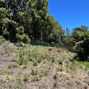 Terreno, no bairro Colina Sorriso em Caxias do Sul para Comprar
