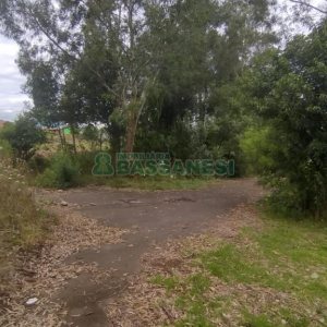 Terreno com 921m², no bairro Pioneiro em Caxias do Sul para Comprar