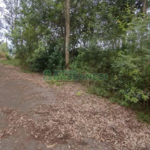 Terreno com 921m², no bairro Pioneiro em Caxias do Sul para Comprar