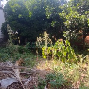 Casa com 387m², 2 dormitórios, 1 vaga, no bairro Floresta em Caxias do Sul para Comprar