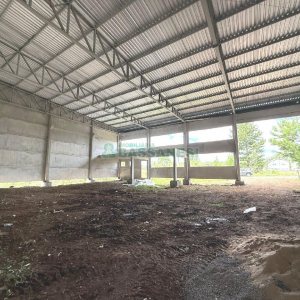 Pavilhão com 600m², no bairro São Luiz em Caxias do Sul para Alugar