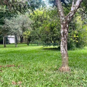 Terreno, no bairro Pedancino em Caxias do Sul para Comprar