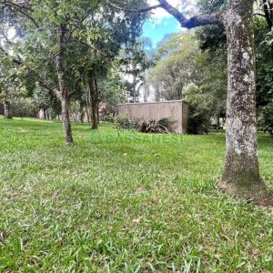 Terreno, no bairro Pedancino em Caxias do Sul para Comprar