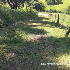 Terreno, no bairro Desvio Rizzo em Caxias do Sul para Comprar
