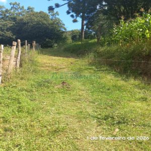 Terreno, no bairro Desvio Rizzo em Caxias do Sul para Comprar