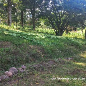 Terreno, no bairro Desvio Rizzo em Caxias do Sul para Comprar