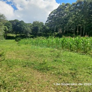 Terreno, no bairro Desvio Rizzo em Caxias do Sul para Comprar