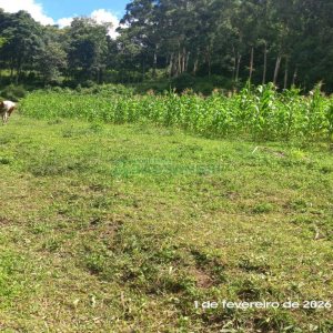 Terreno, no bairro Desvio Rizzo em Caxias do Sul para Comprar