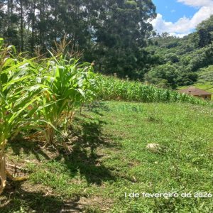 Terreno, no bairro Desvio Rizzo em Caxias do Sul para Comprar