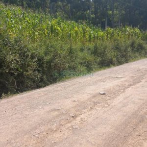 Terreno, no bairro Desvio Rizzo em Caxias do Sul para Comprar