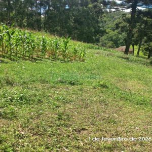 Terreno, no bairro Desvio Rizzo em Caxias do Sul para Comprar