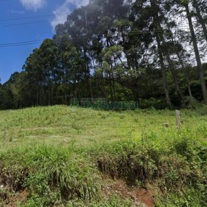 Terreno, no bairro Desvio Rizzo em Caxias do Sul para Comprar