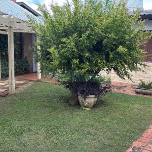 Casa, 3 dormitórios, 2 vagas, no bairro Cinqüentenário em Caxias do Sul para Comprar