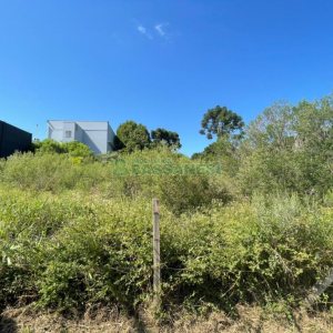 Terreno, no bairro Santa Lúcia em Caxias do Sul para Comprar