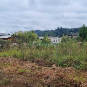 Terreno com 360m², no bairro Monte Bérico em Caxias do Sul para Comprar