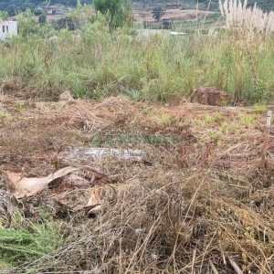 Terreno com 360m², no bairro Monte Bérico em Caxias do Sul para Comprar